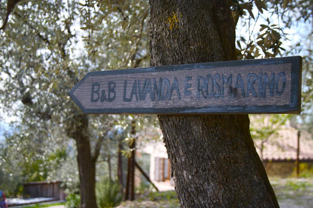 B&B Lavanda E Rosmarino Assisi Exterior photo